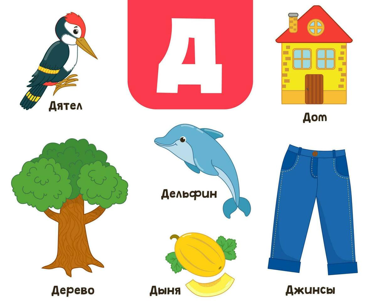 Russisch Alphabet. geschrieben im Russisch Specht, Baum, Haus, Delfin, Jeans, Melone vektor