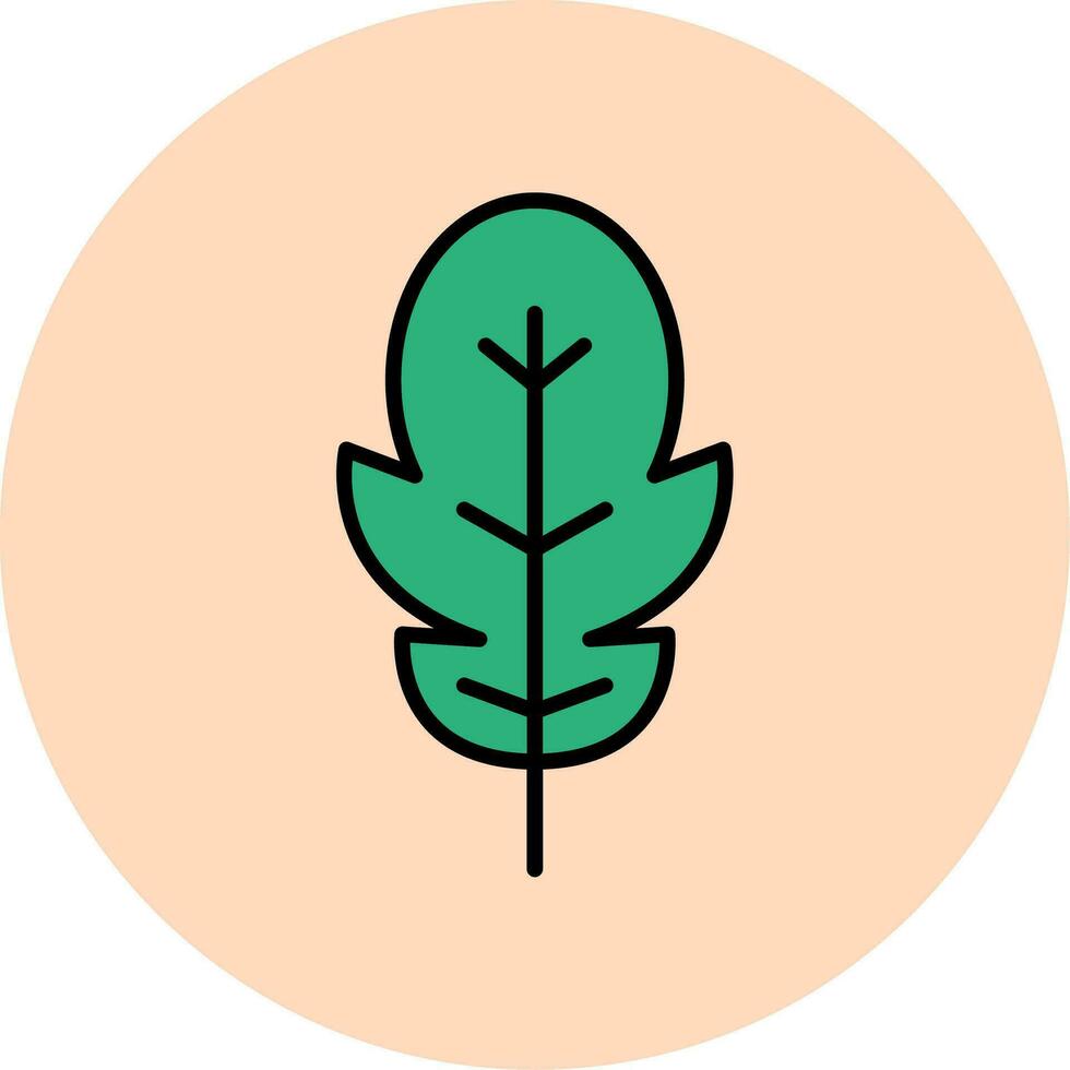 Rucola Vektor Symbol