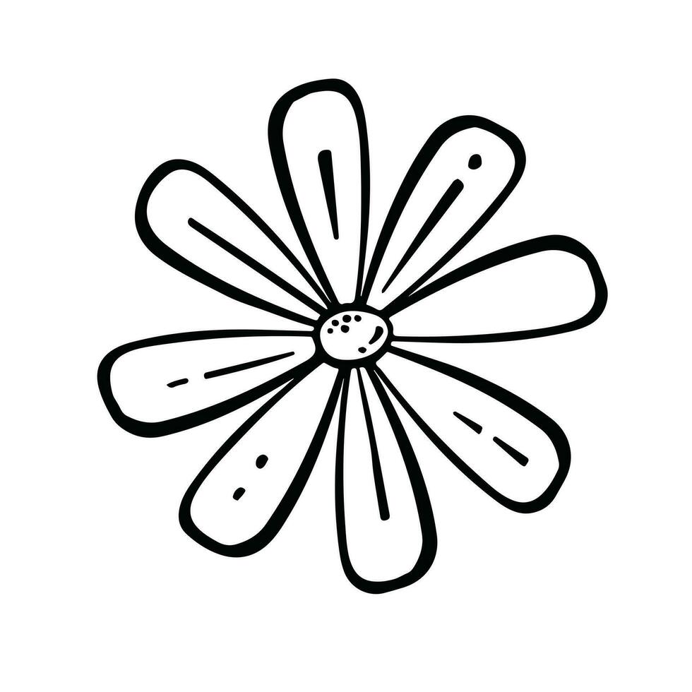 översikt, rader av kamomill blomma i vit och gul, vektor illustration