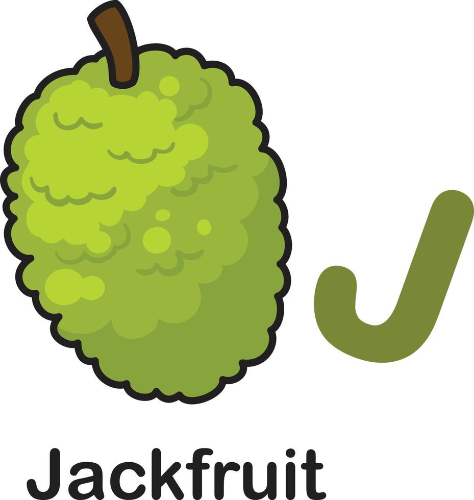 alphabet buchstabe j-jackfrucht-vektorillustration vektor