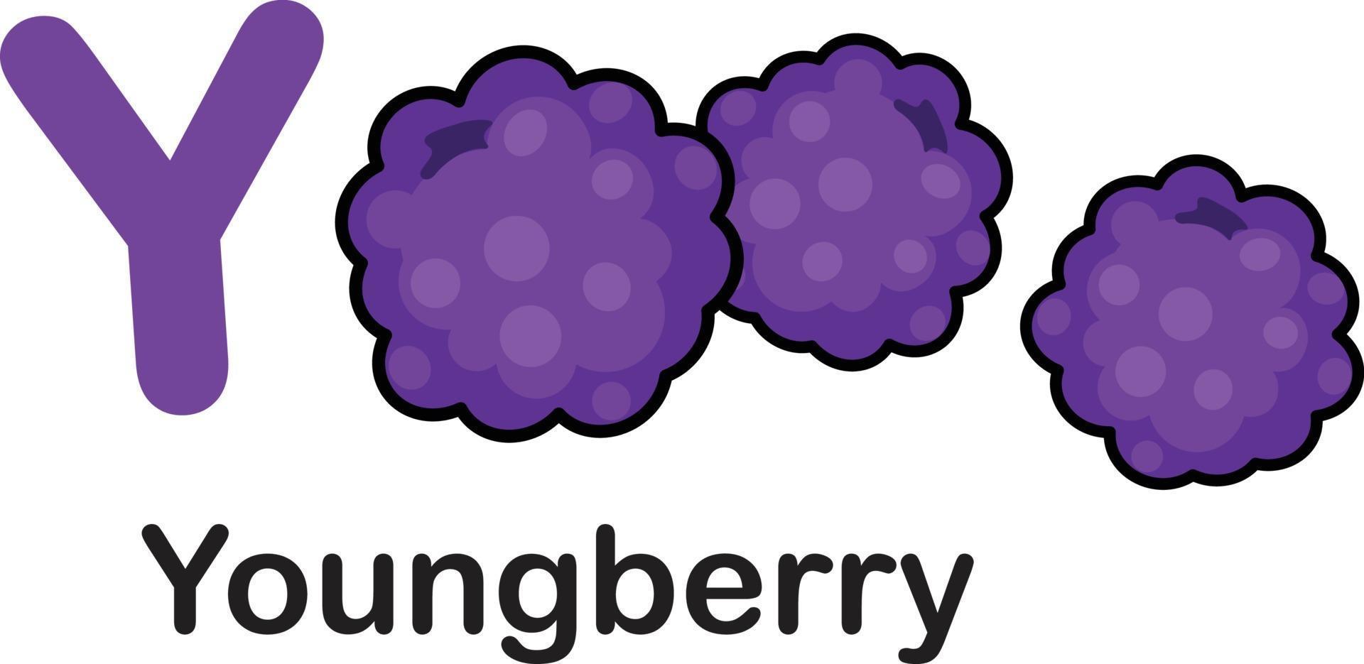 alfabetet bokstaven y-youngberry vektor illustration