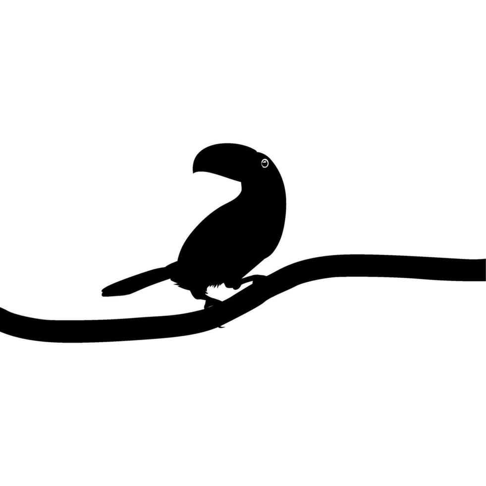 Tukane sind neotropisch Mitglieder von das in der Nähe von Passerine Vogel Familie Ramphastidae. das Ramphastidae sind die meisten eng verbunden zu das amerikanisch Barbets, Vogel Silhouette. Vektor Illustration