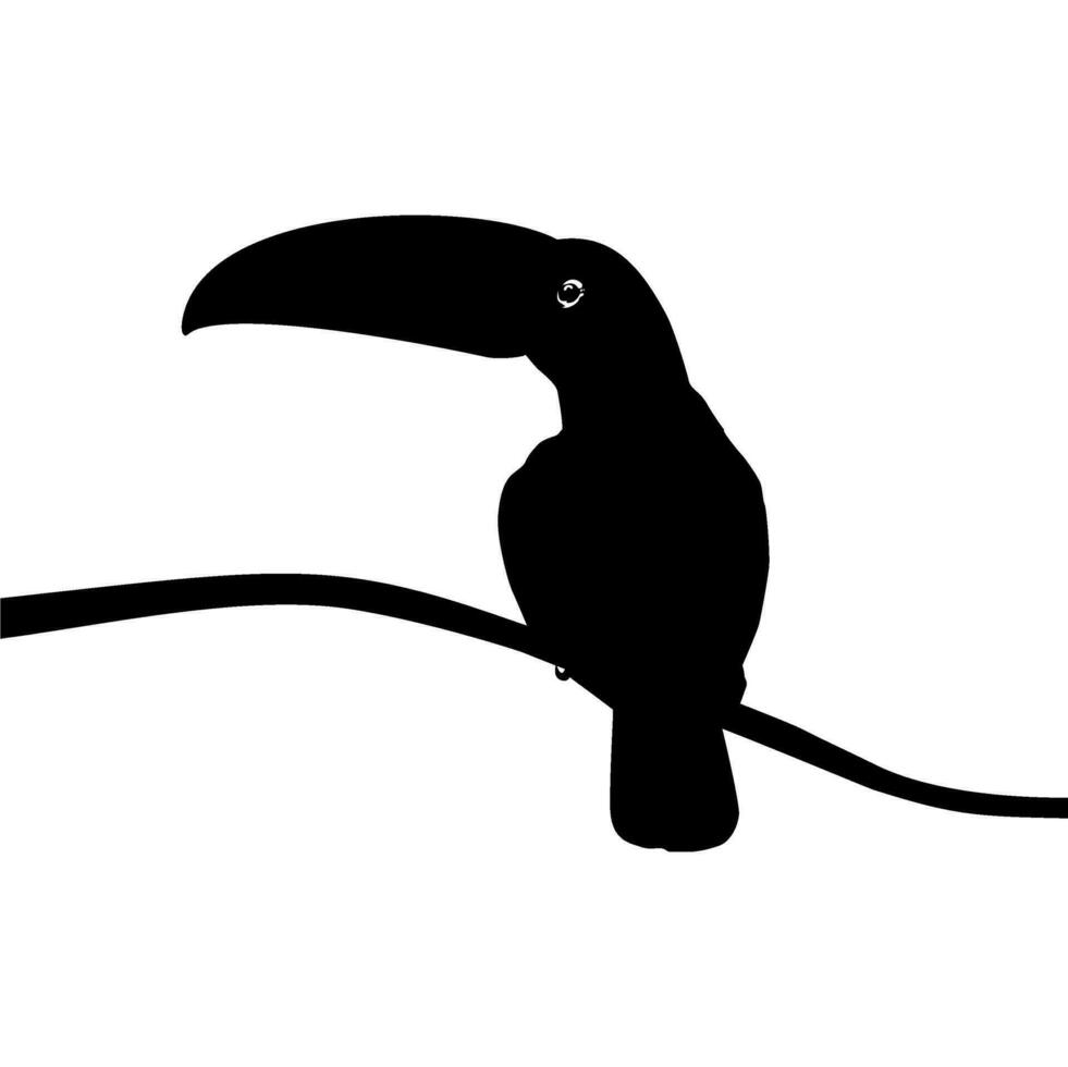 Tukane sind neotropisch Mitglieder von das in der Nähe von Passerine Vogel Familie Ramphastidae. das Ramphastidae sind die meisten eng verbunden zu das amerikanisch Barbets, Vogel Silhouette. Vektor Illustration