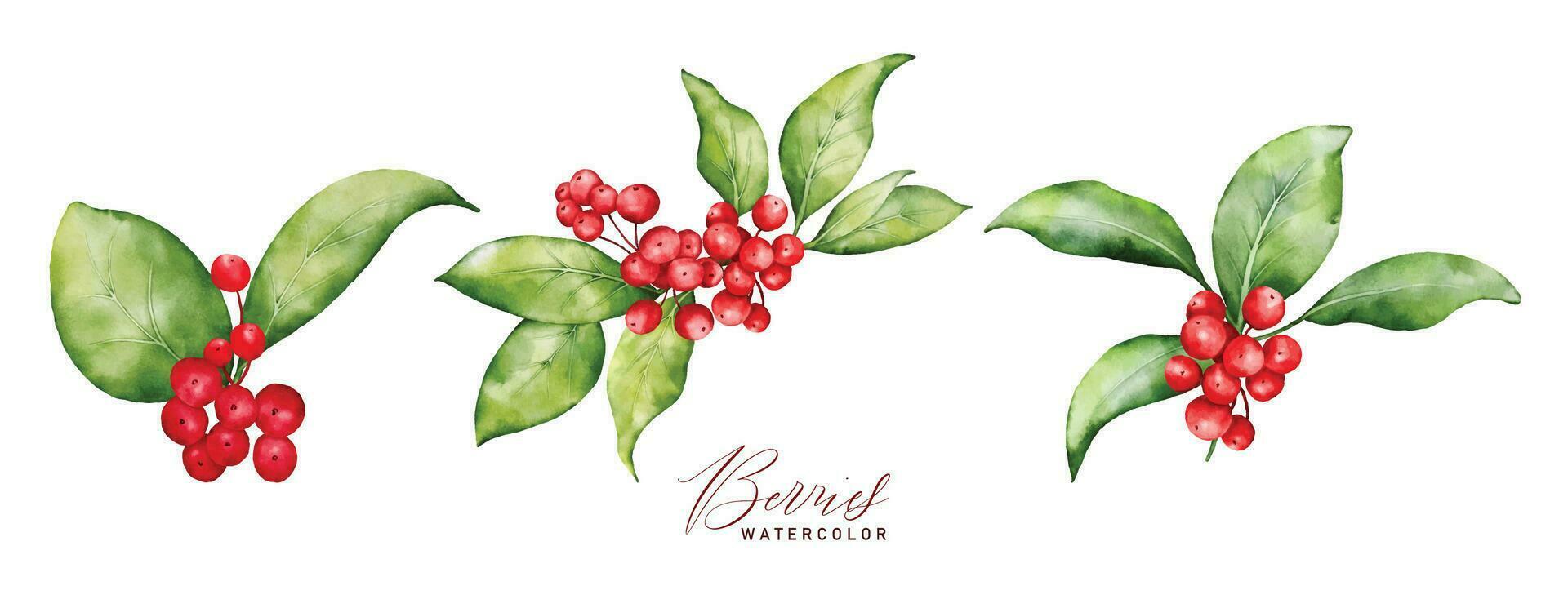Weihnachten Aquarell einstellen von Strauß Arrangements mit Beeren und Blätter vektor