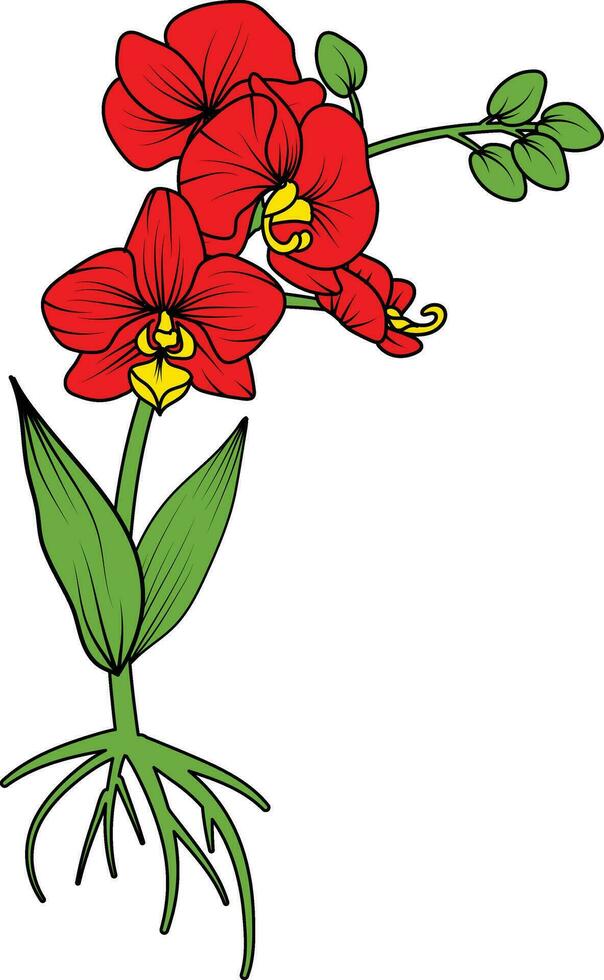 röd orkide gren vektor blomma, illustration av skön röd orkide blomma