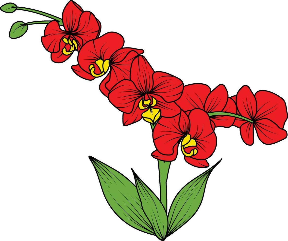 röd orkide gren vektor blomma, illustration av skön röd orkide blomma