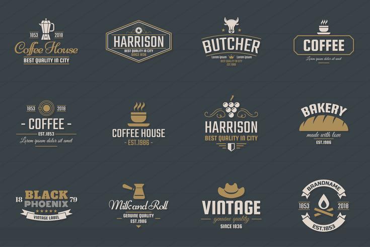 Vintage Retro Vector Logo för banner