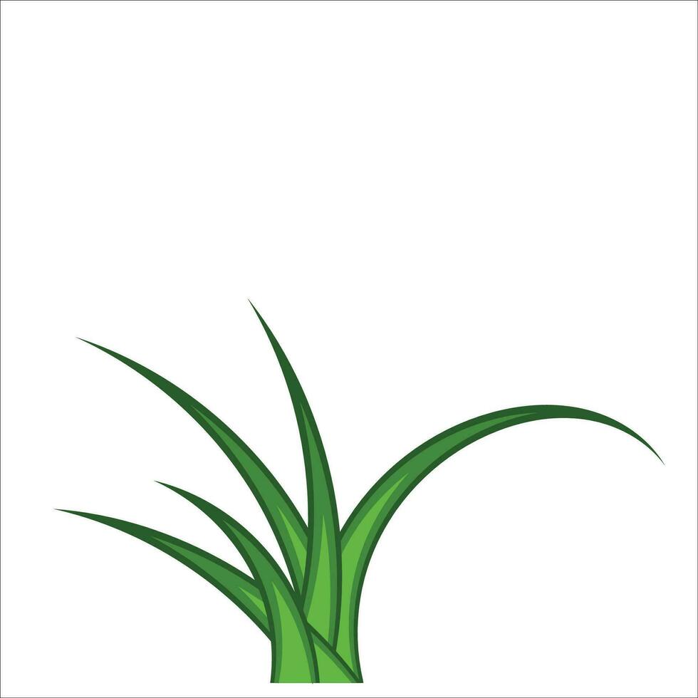 Gras Vektor png