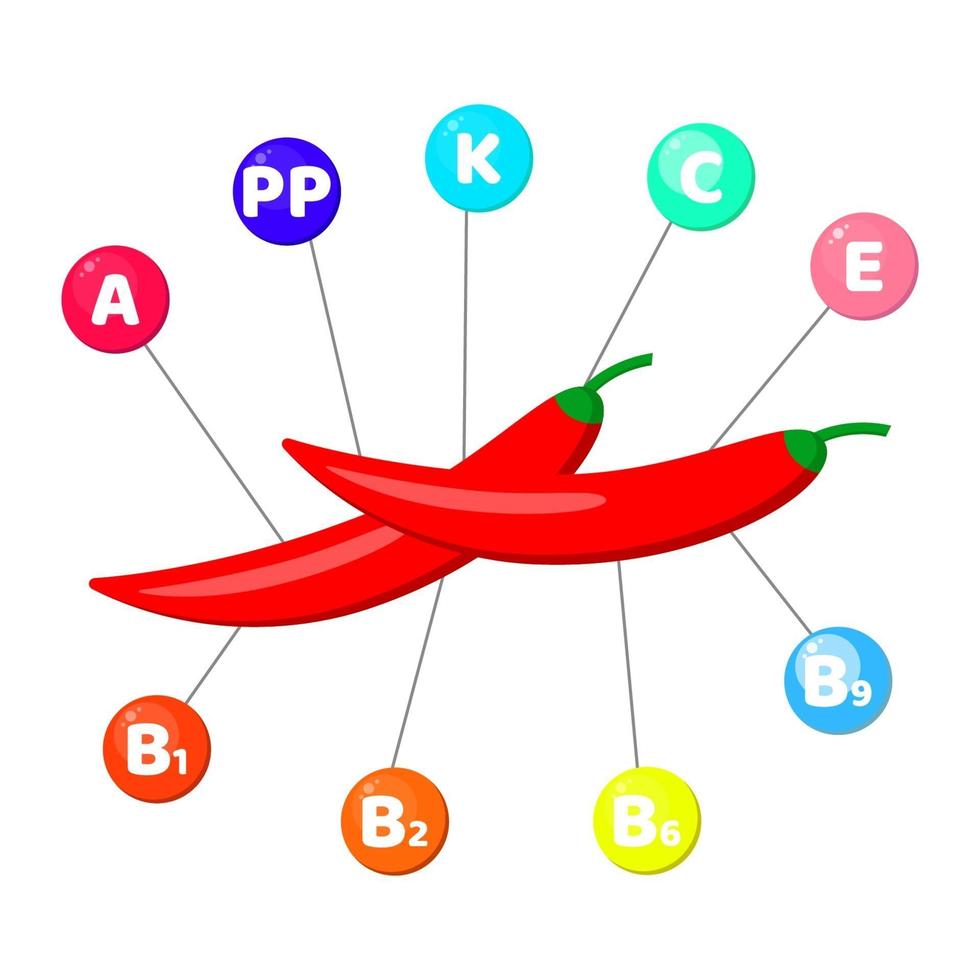 vitaminer som finns i grönsaker. chilipeppar vektor