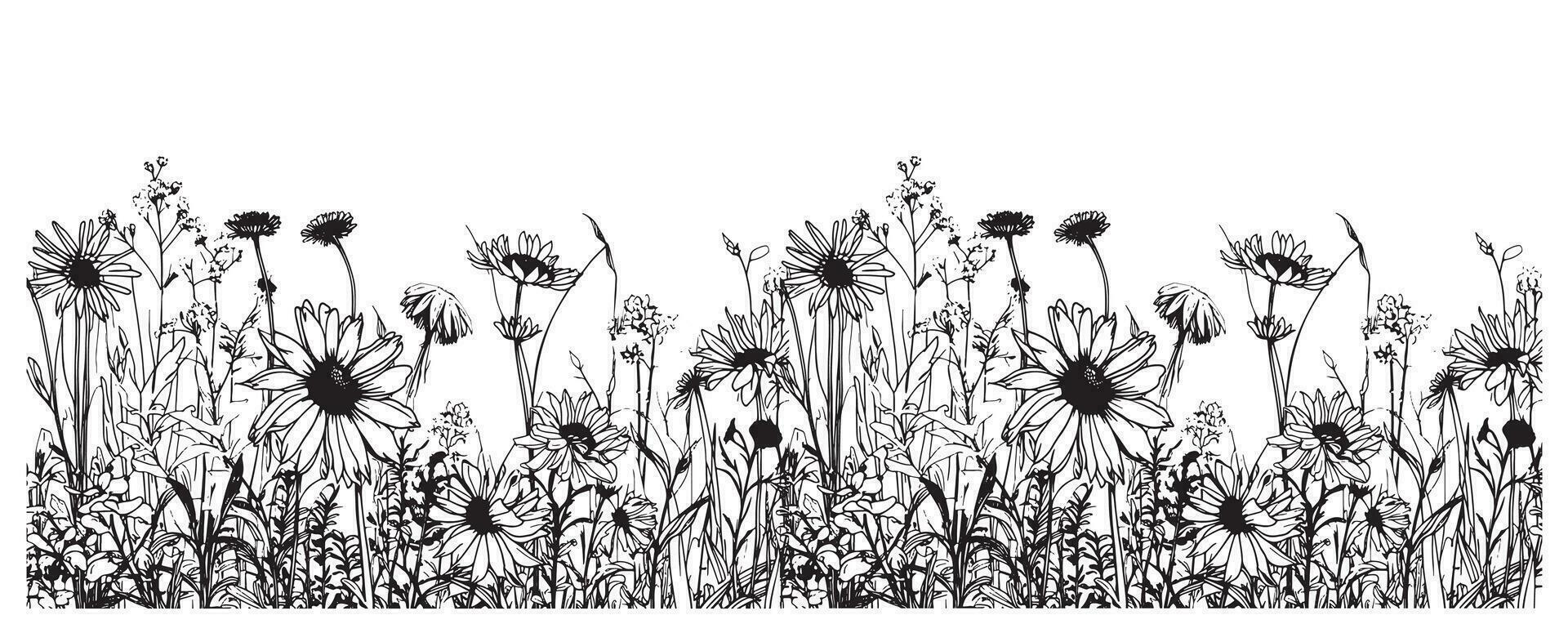Wildblumen Rand skizzieren Hand gezeichnet im Gekritzel Stil Vektor Illustration