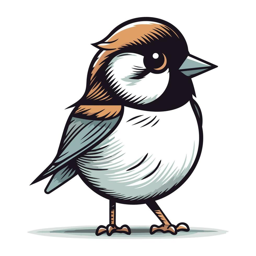 chickadee fågel isolerat på vit bakgrund. vektor illustration.