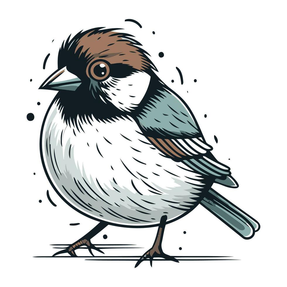 Chickadee Vogel auf das Weiß Hintergrund. Vektor Illustration.