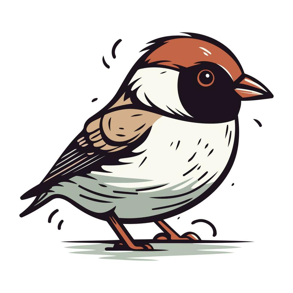 Spatz. Vektor Illustration von ein Vogel auf ein Weiß Hintergrund.