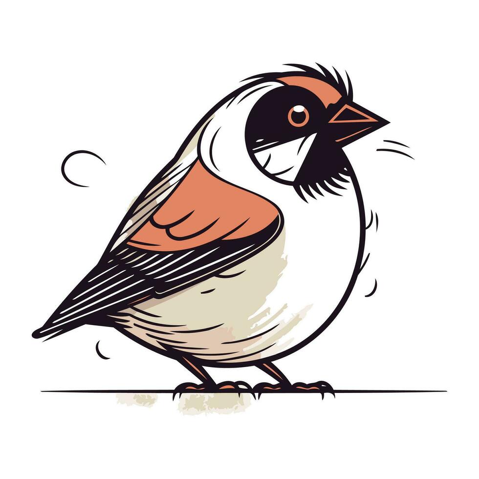 Gimpel auf ein Weiß Hintergrund. Vektor Illustration von ein Vogel.