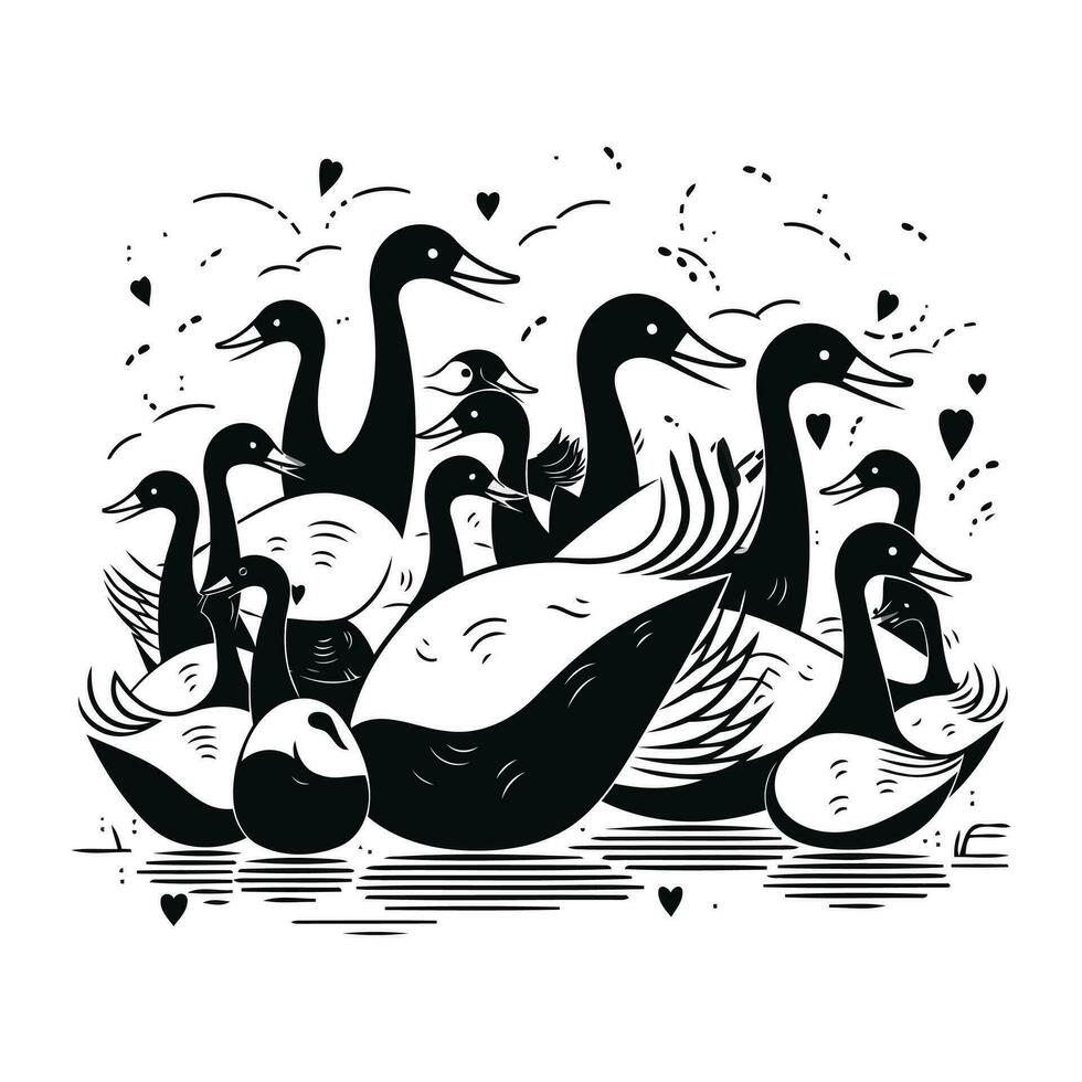 vektor illustration av svanar och ankor. svart och vit illustration.