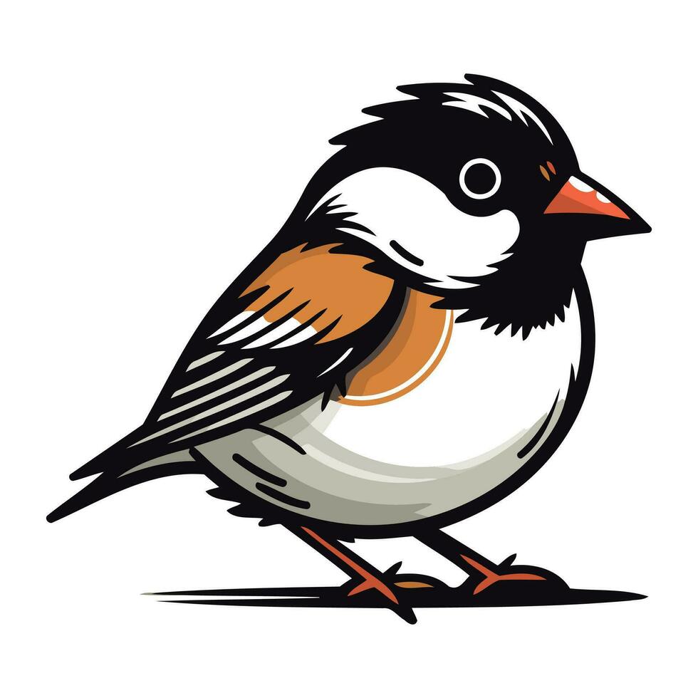Gimpel Vogel isoliert auf ein Weiß Hintergrund. Vektor Illustration.
