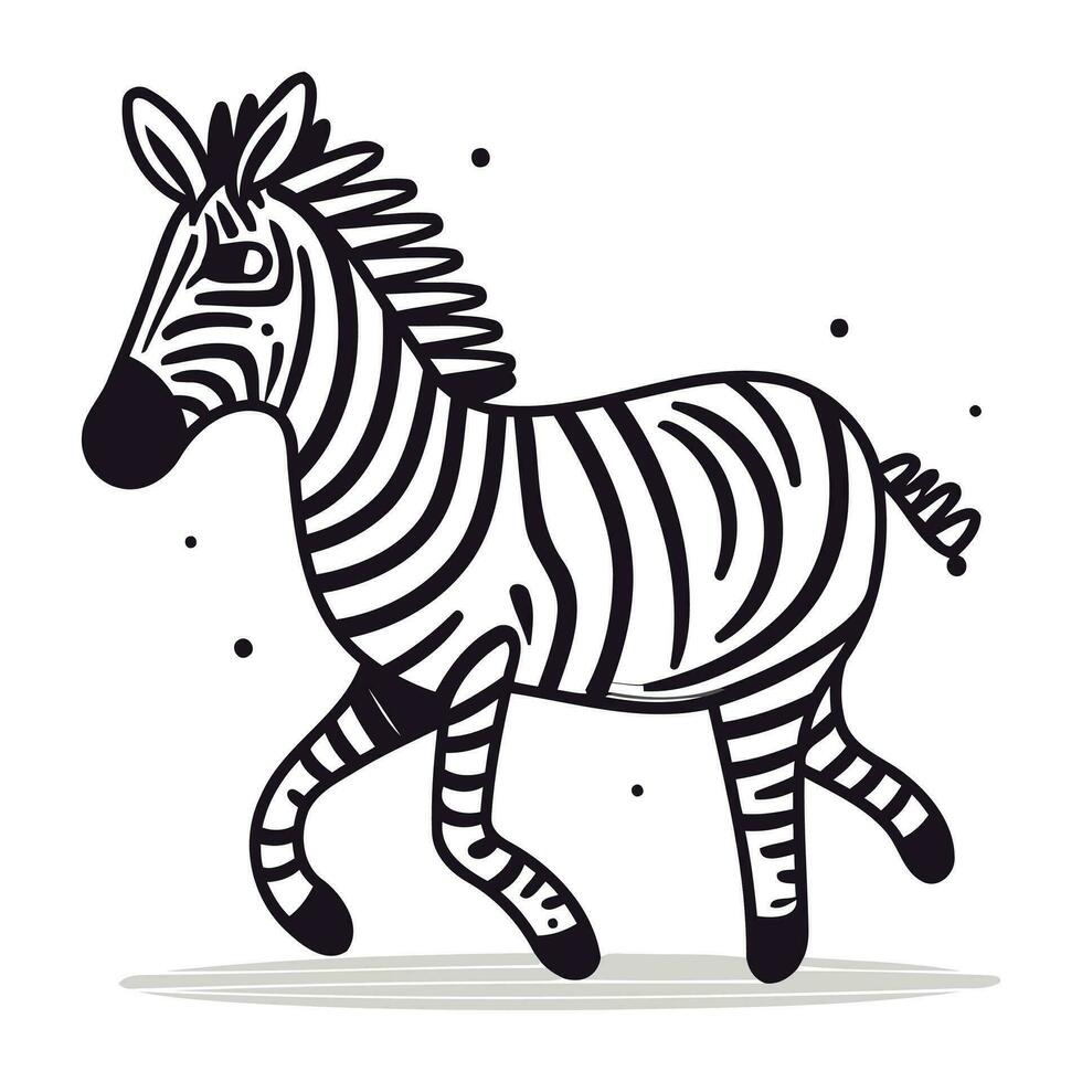 Zebra Zebra Tier Vektor Illustration isoliert auf ein Weiß Hintergrund.