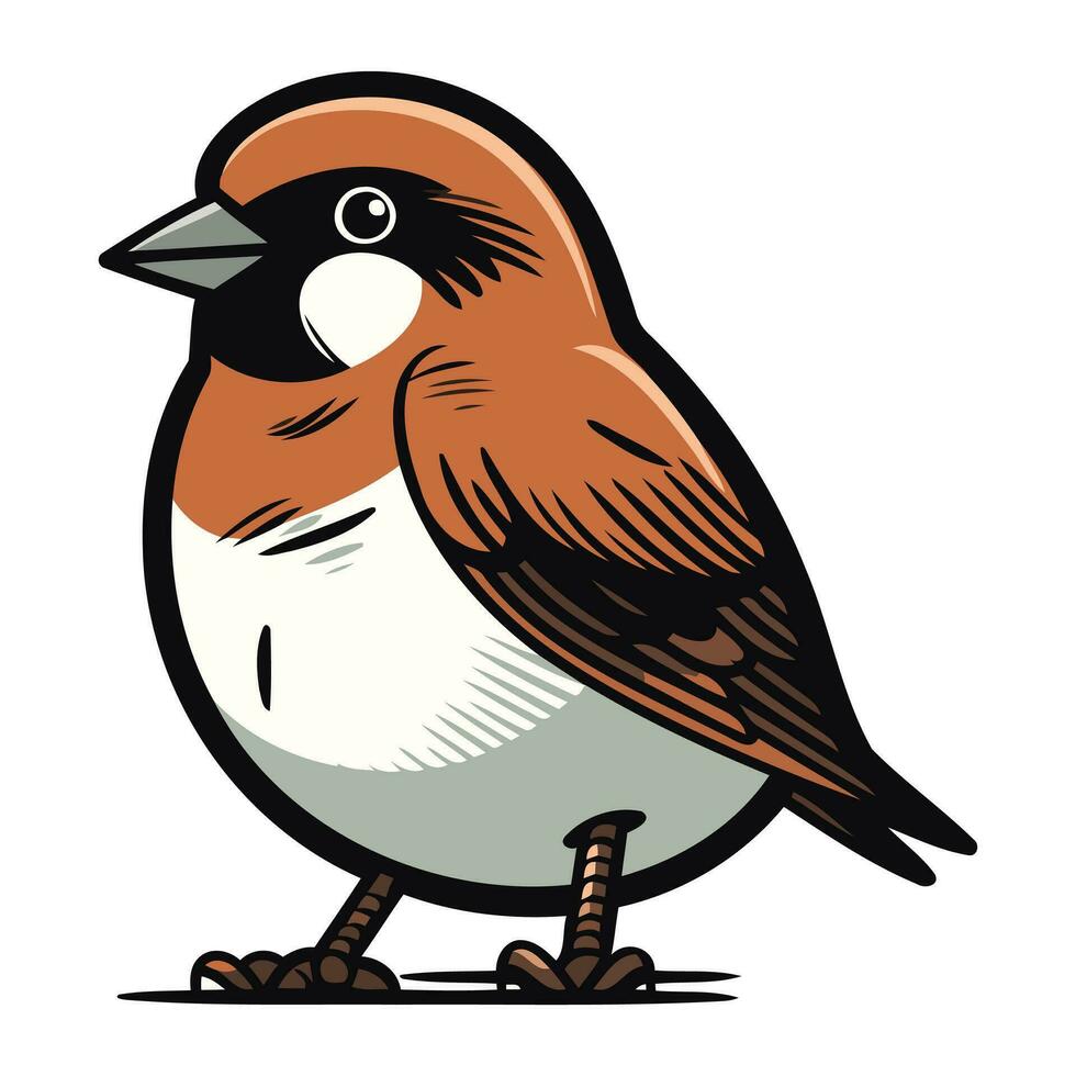 Spatz Vogel isoliert auf ein Weiß Hintergrund. Vektor Illustration.