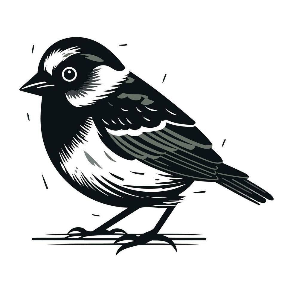 Gimpel Vogel Vektor Illustration isoliert auf Weiß Hintergrund. schwarz und Weiß Hand gezeichnet Vogel.