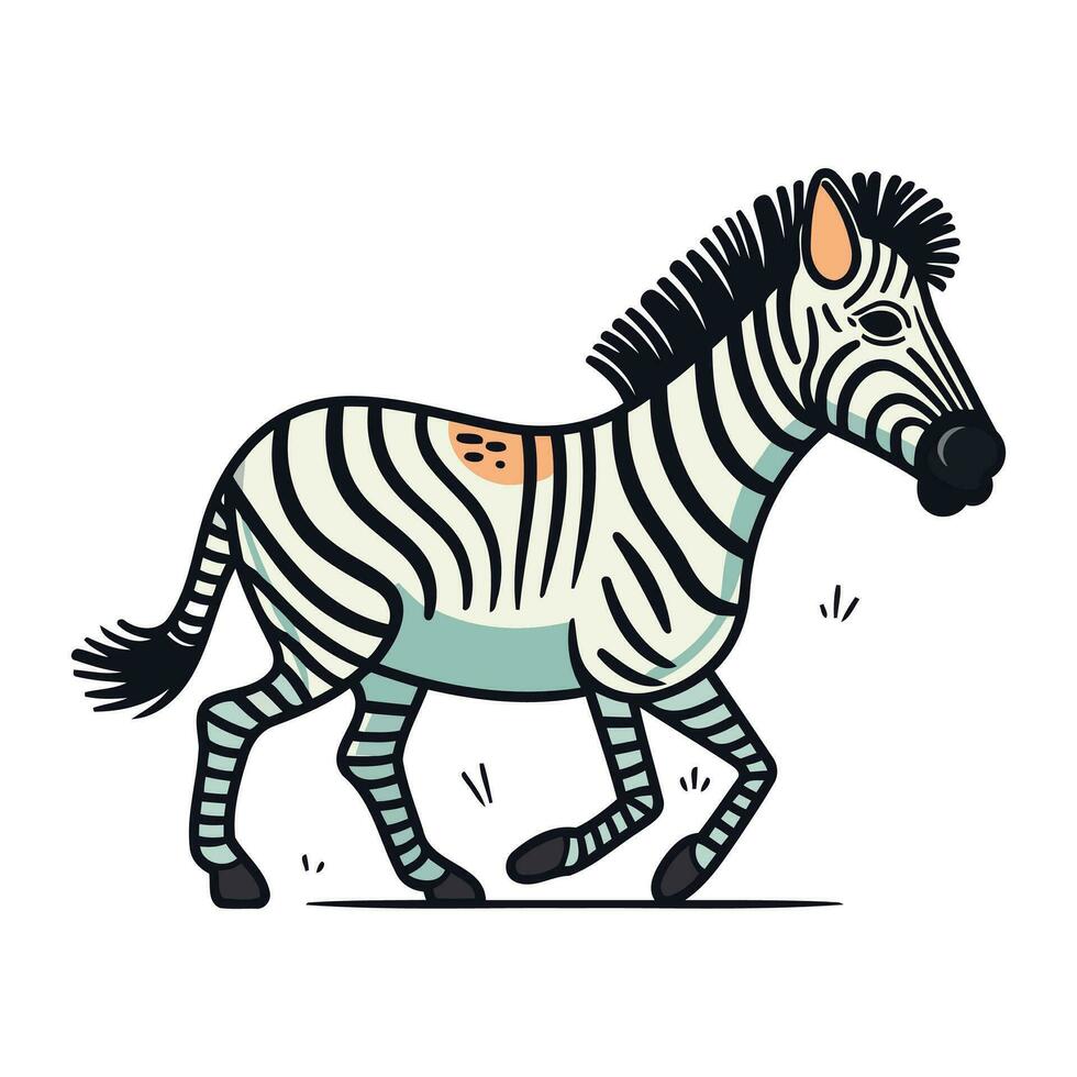 Zebra. Vektor Illustration von ein Karikatur Zebra auf ein Weiß Hintergrund.