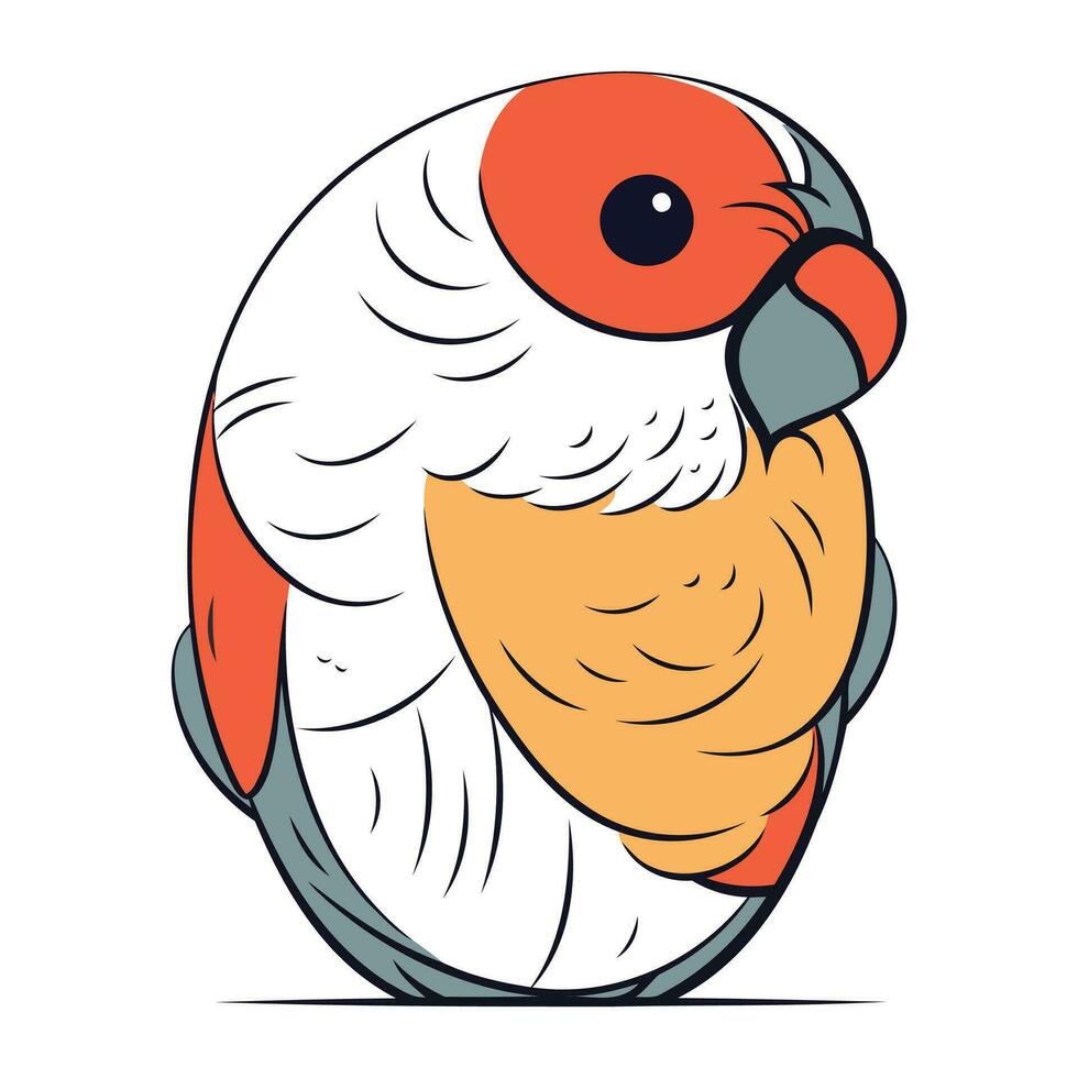 Papagei Vektor Illustration. isoliert Papagei auf Weiß Hintergrund.