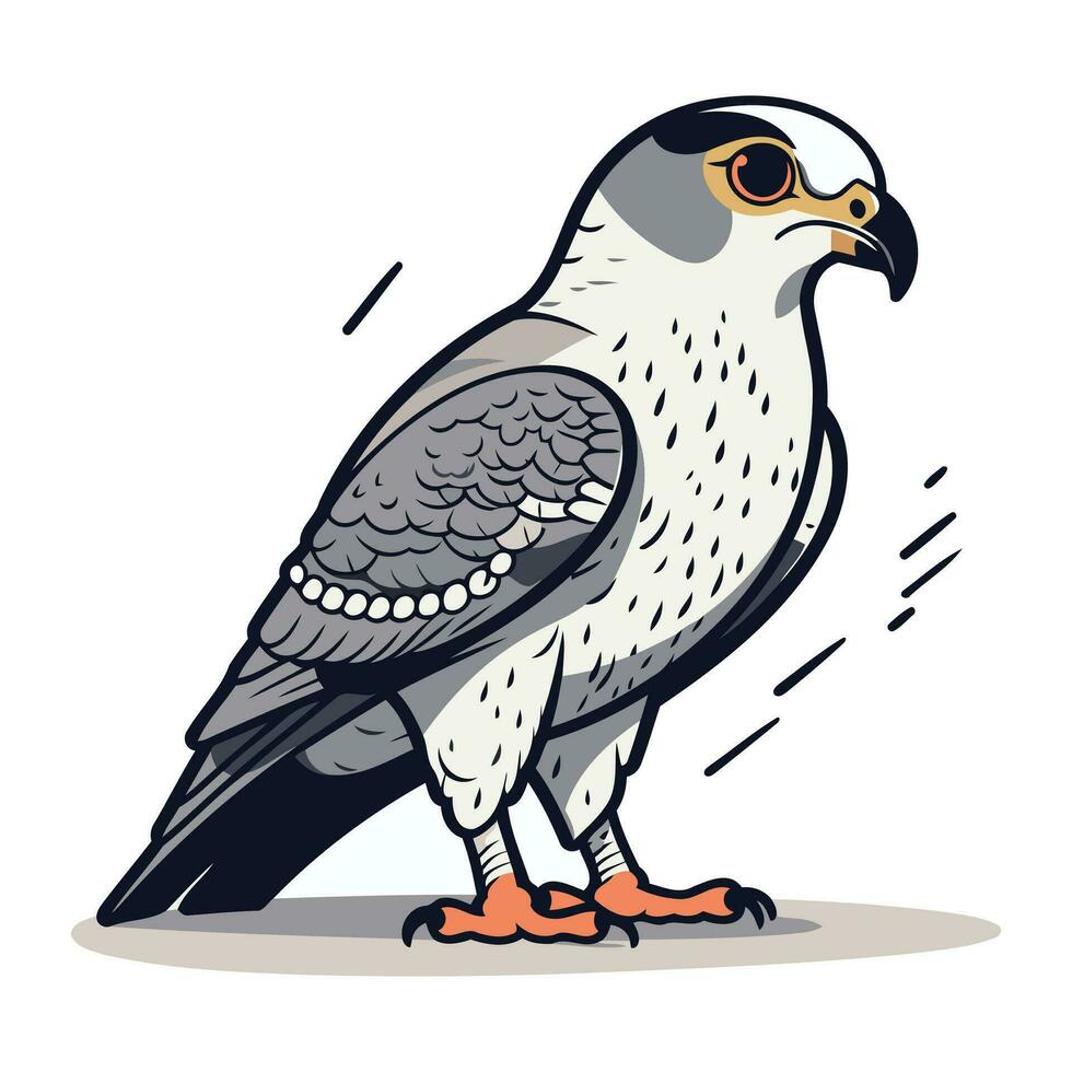 Wanderfalke Falke. Vektor Illustration von ein Vogel.