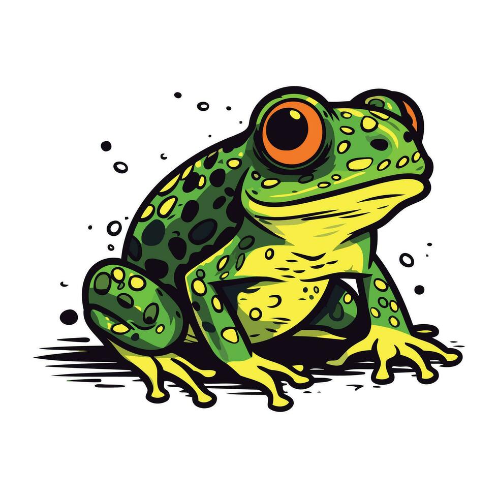 Grün Frosch isoliert auf Weiß Hintergrund. Vektor Illustration von ein Karikatur Frosch.