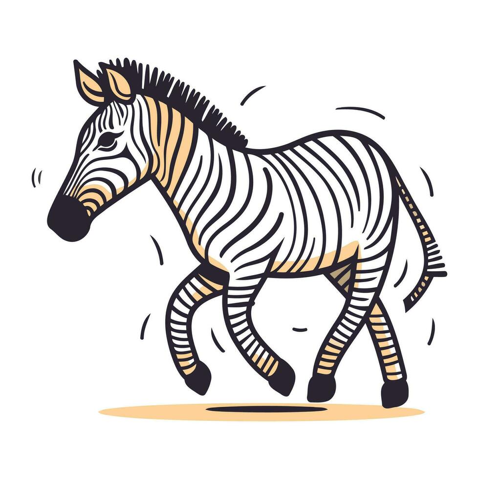 zebra. vektor illustration i klotter stil på vit bakgrund