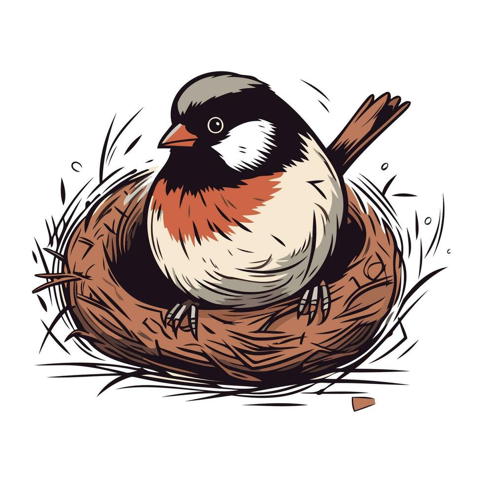 Chickadee im das Nest. Hand gezeichnet Vektor Illustration.