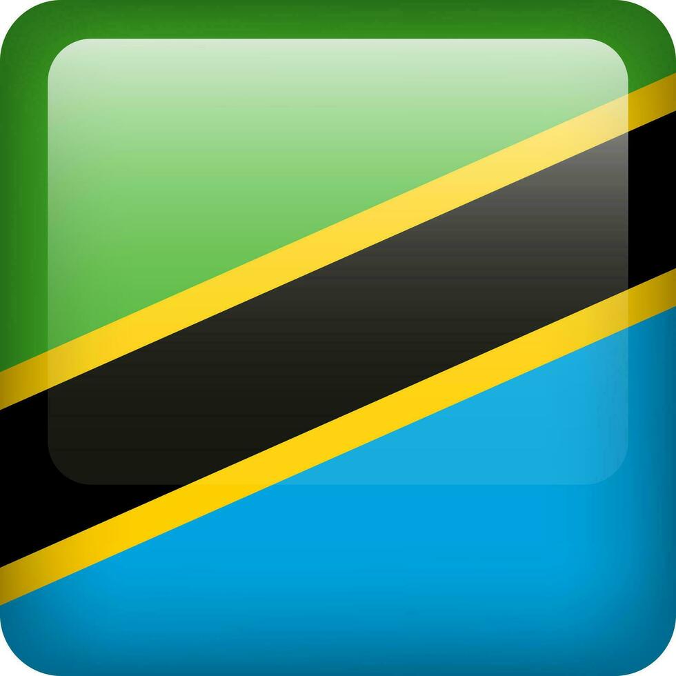 3d vektor tanzania flagga glansig knapp. tanzanian nationell emblem. fyrkant ikon med flagga av tanzania