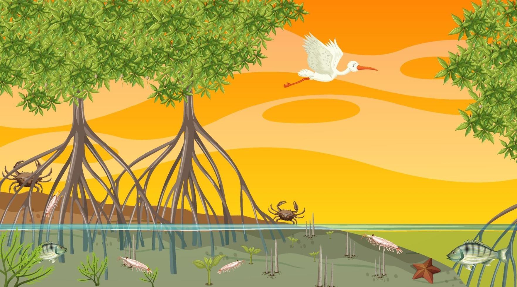 Tiere leben im Mangrovenwald bei Sonnenuntergang vektor