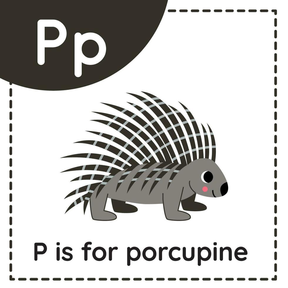 djur- alfabet Flash-kort för barn. inlärning brev sid. p är för piggsvin. vektor