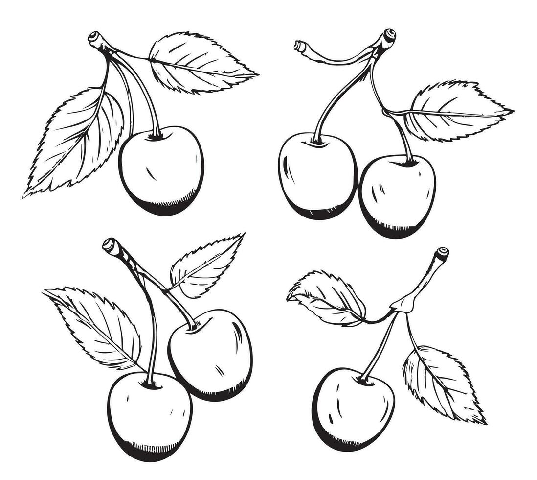 Vektor einstellen von Beeren, ein Kirsche, Paar von Cheries, ein Bündel. ein Sammlung im verschiedene Zeichnungen