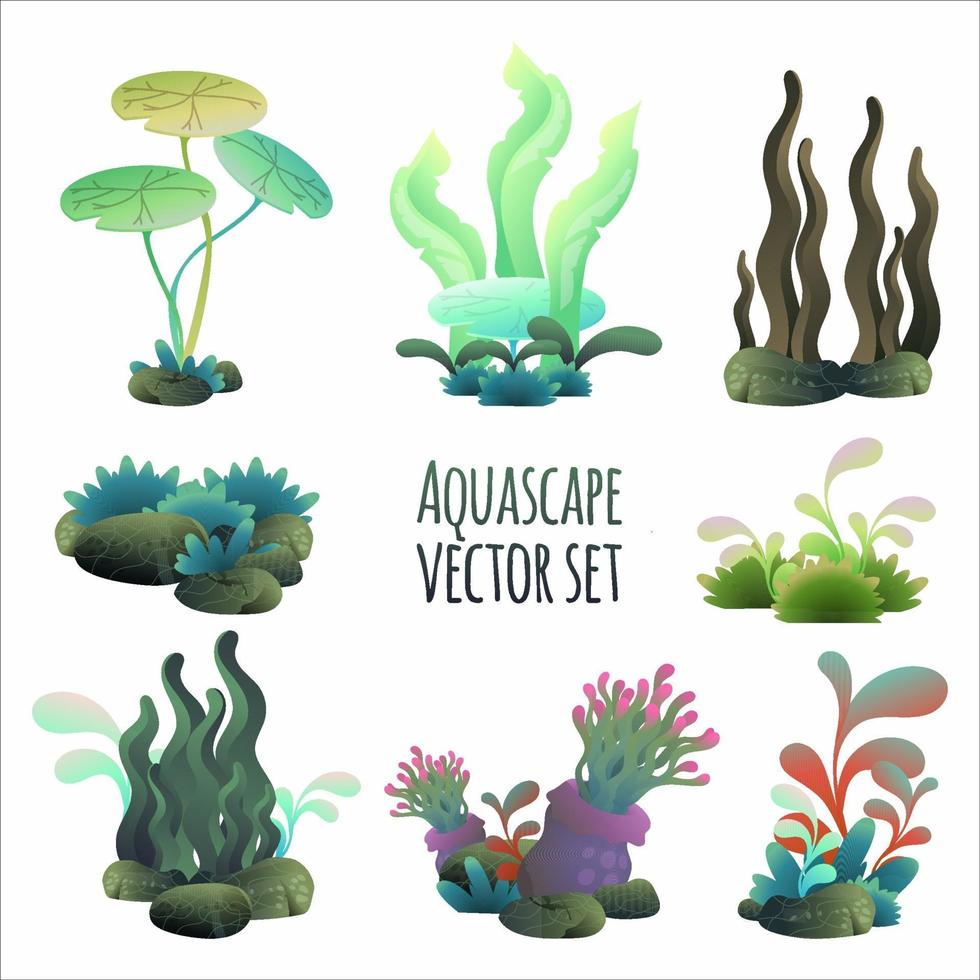 aquascape vektor illustration uppsättning, akvarium växt uppsättning