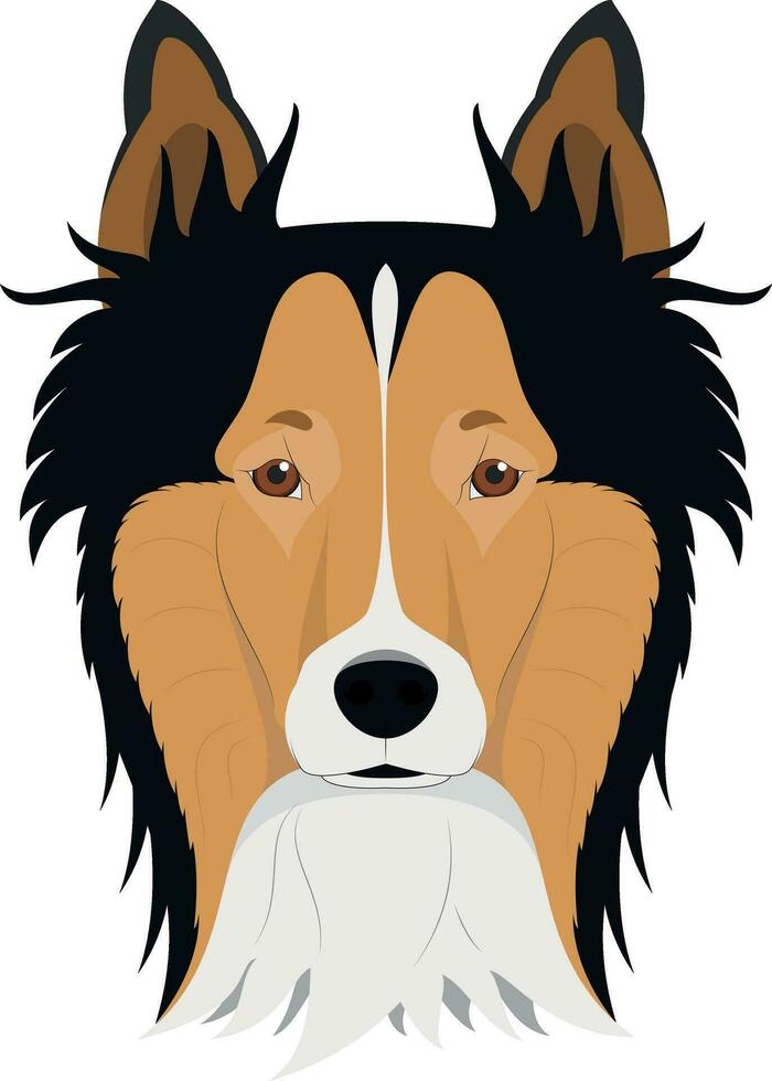 Collie Rau Hund isoliert auf Weiß Hintergrund Vektor Illustration