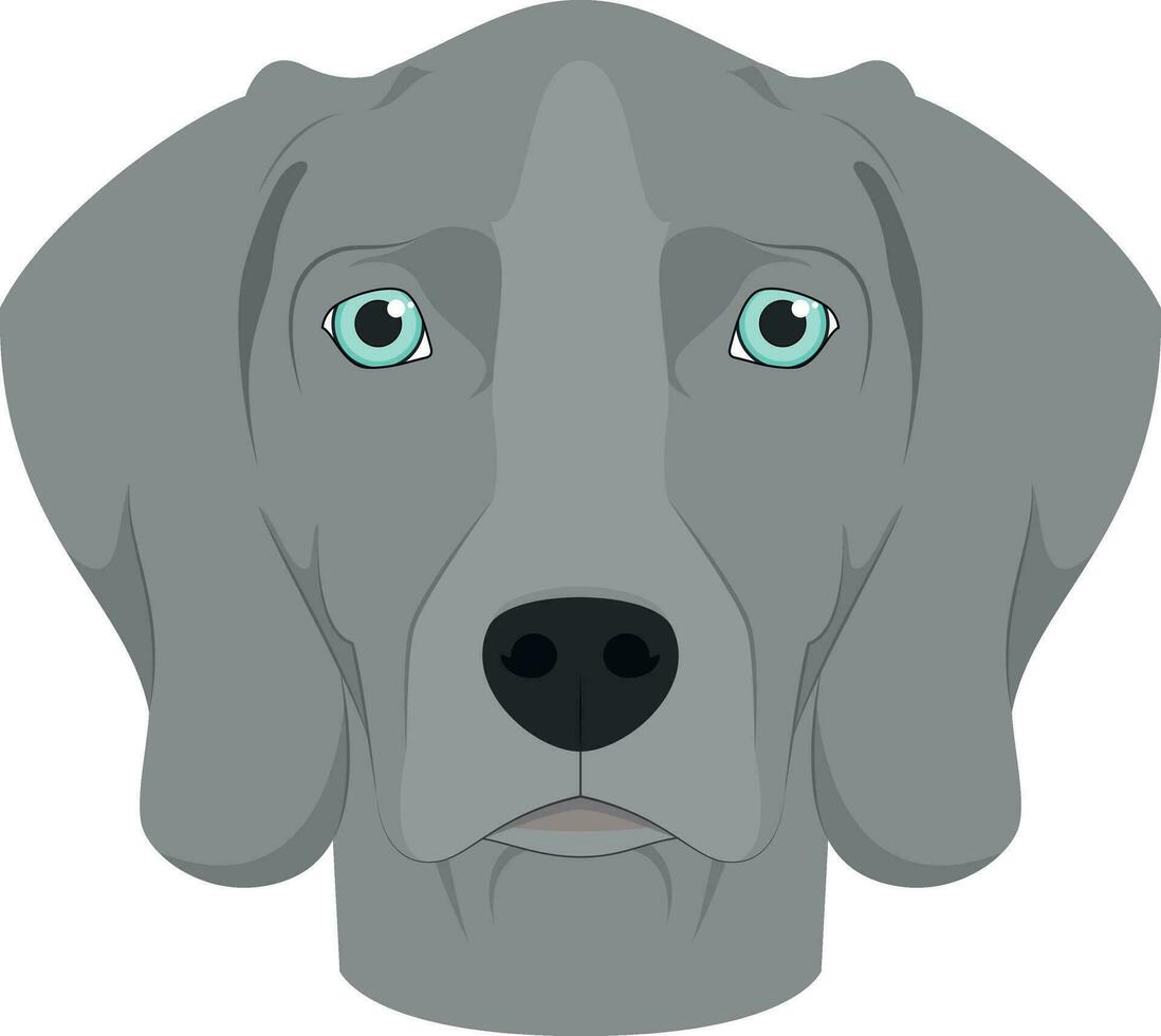 Weimaraner Hund isoliert auf Weiß Hintergrund Vektor Illustration