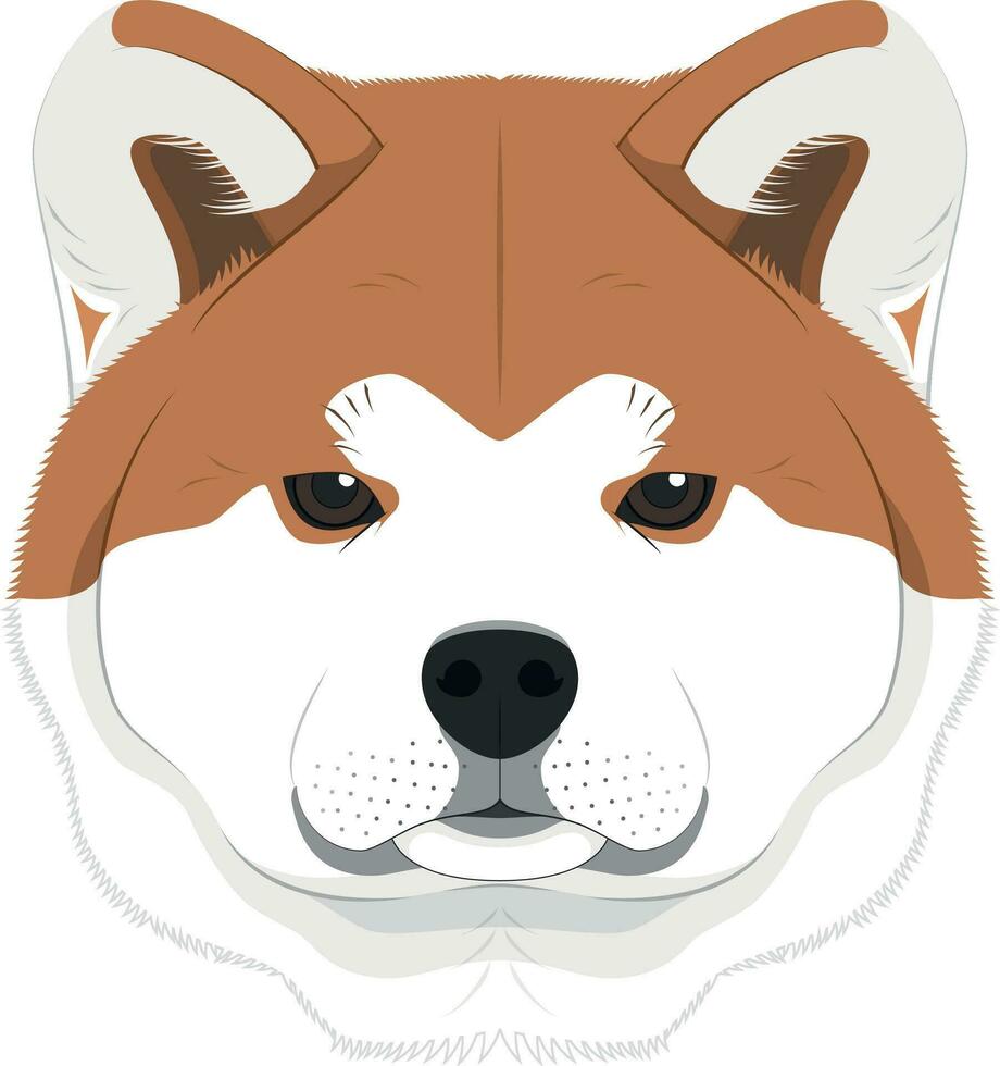 Akita inu Hund isoliert auf Weiß Hintergrund Vektor Illustration