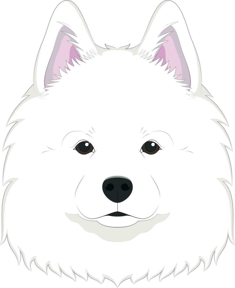 samoyed Hund isoliert auf Weiß Hintergrund Vektor Illustration