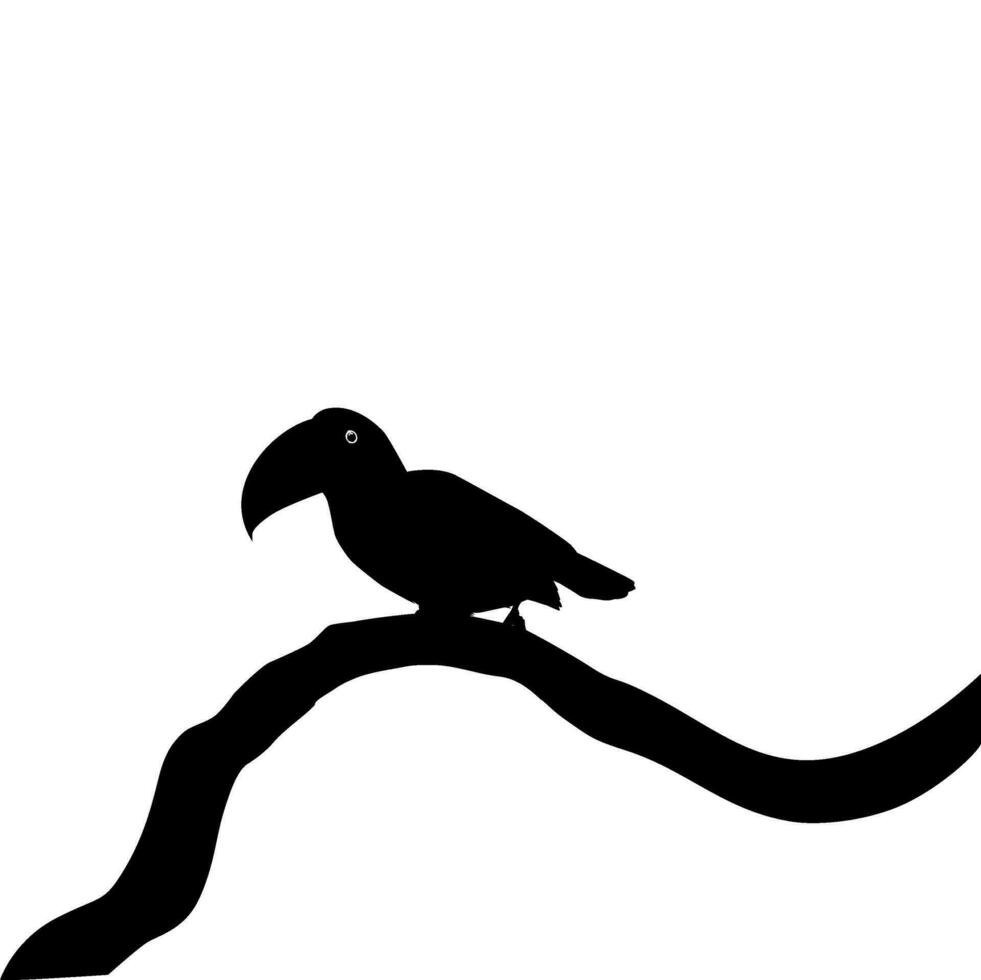 Tukane sind neotropisch Mitglieder von das in der Nähe von Passerine Vogel Familie Ramphastidae. das Ramphastidae sind die meisten eng verbunden zu das amerikanisch Barbets, Vogel Silhouette. Vektor Illustration