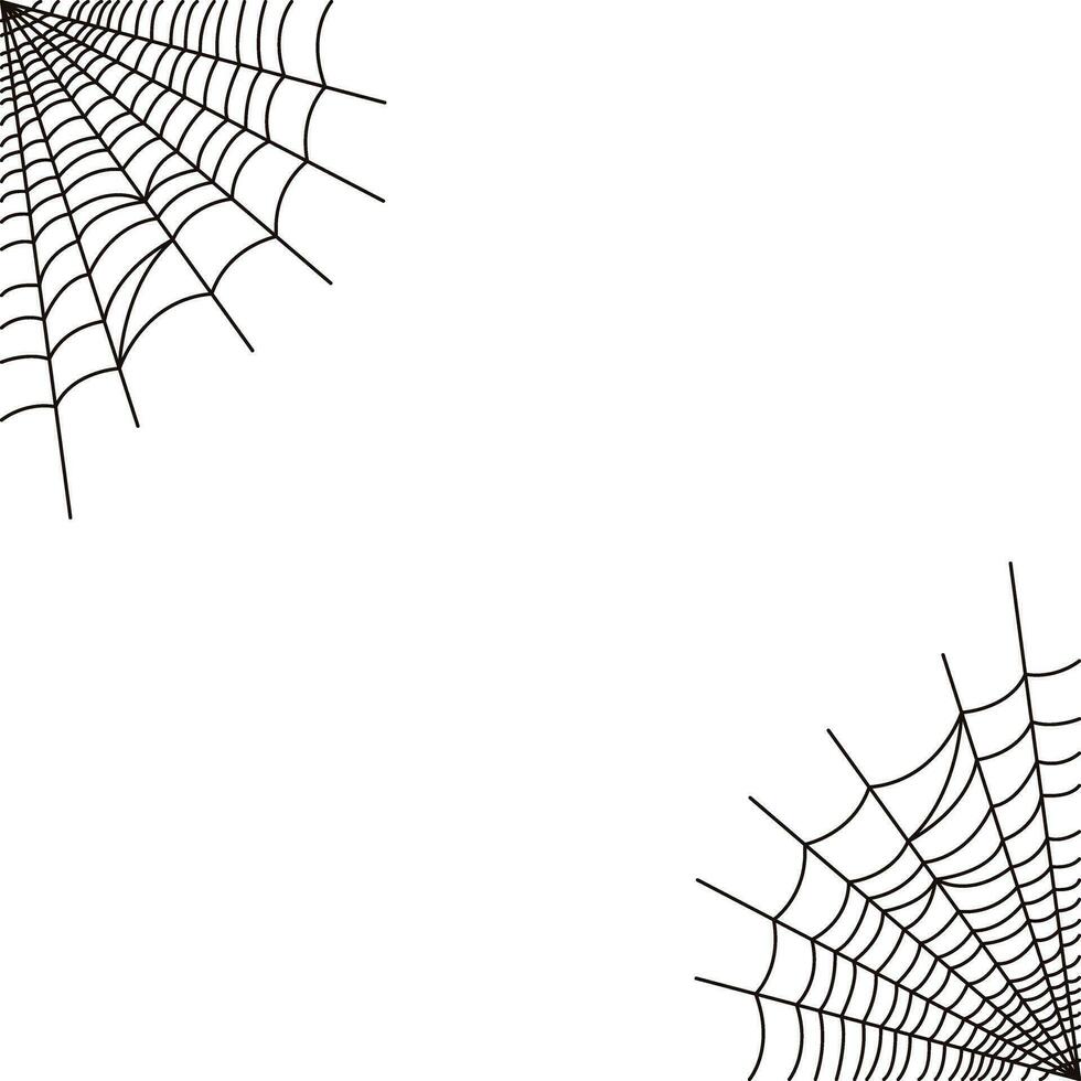 einfach Spinne Netz auf ein Weiß Hintergrund vektor