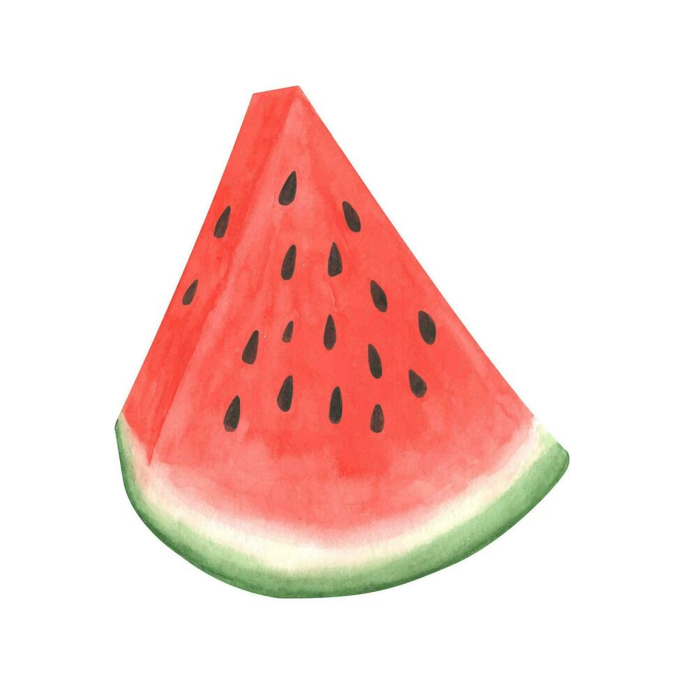 Aquarell Wassermelone Clip Art, Sommer- reif Frucht, Wassermelone Party vektor