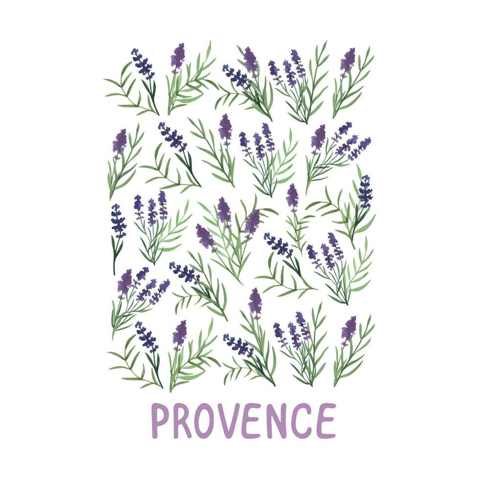 årgång vattenfärg lavendel- skriva ut, romantisk provence bukett samling vektor