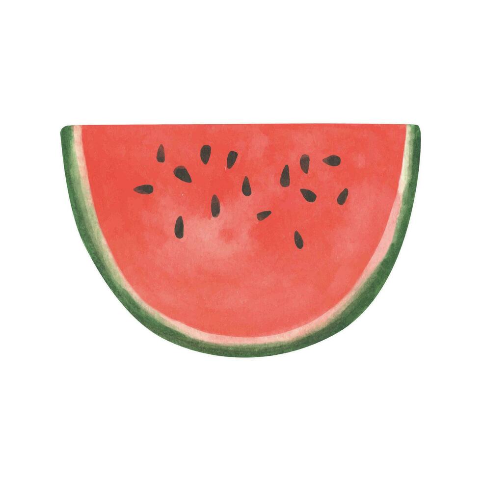 vattenfärg vattenmelon ClipArt, sommar mogen frukt, vattenmelon fest vektor