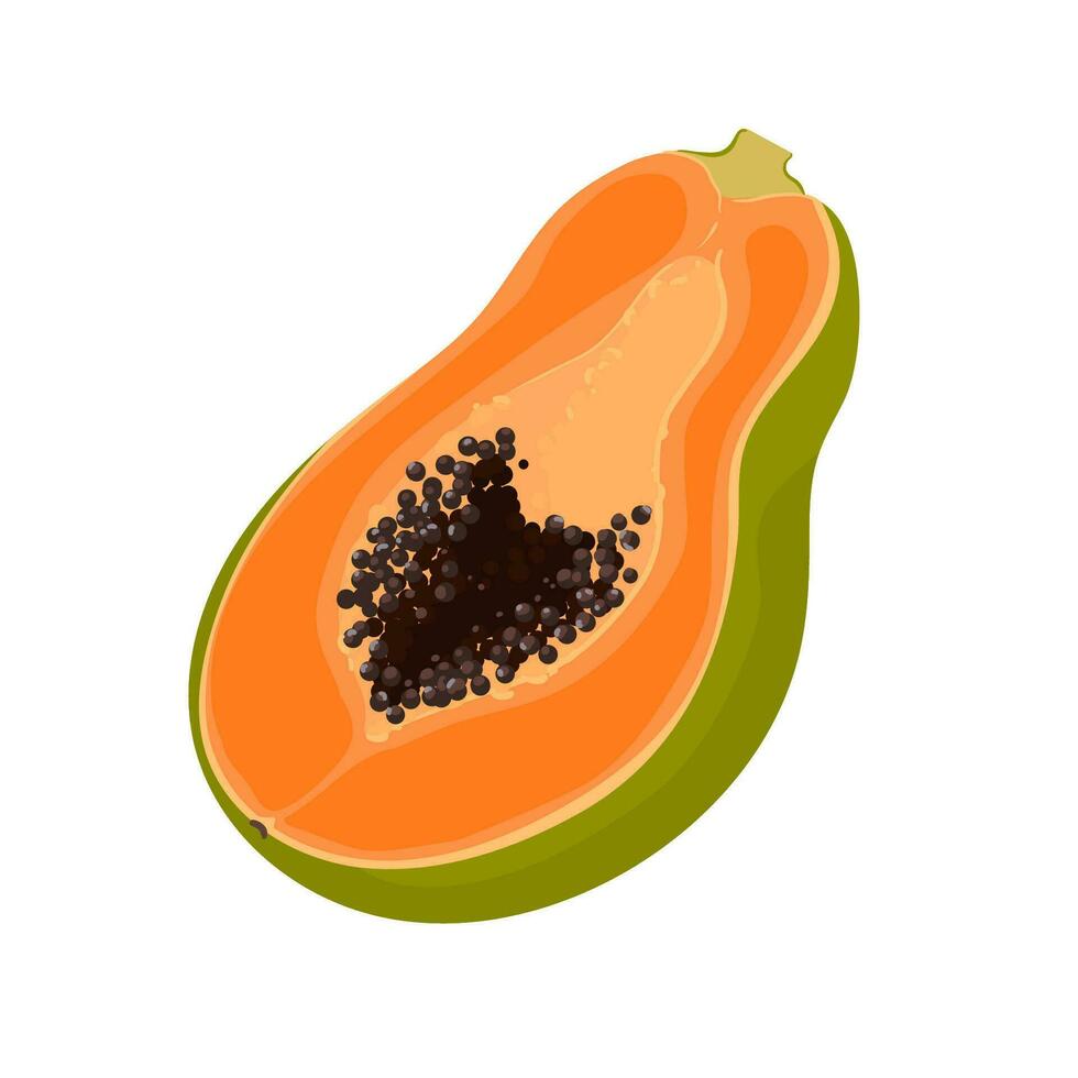 halv skära papaya frukt på vit bakgrund vektor