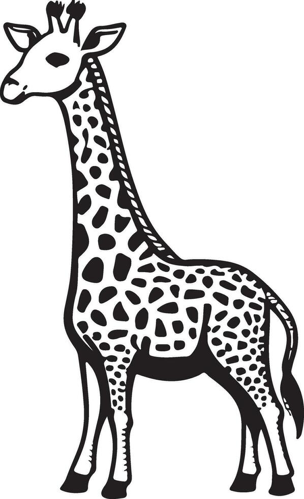 Giraffe Karikatur Zeichen isoliert auf Weiß Hintergrund. Illustration zum Kinder. Färbung Buch. Färbung Buchseite. vektor