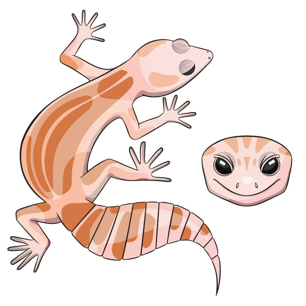 vektor illustration av ett eublepharis leopard gecko förmörkelse