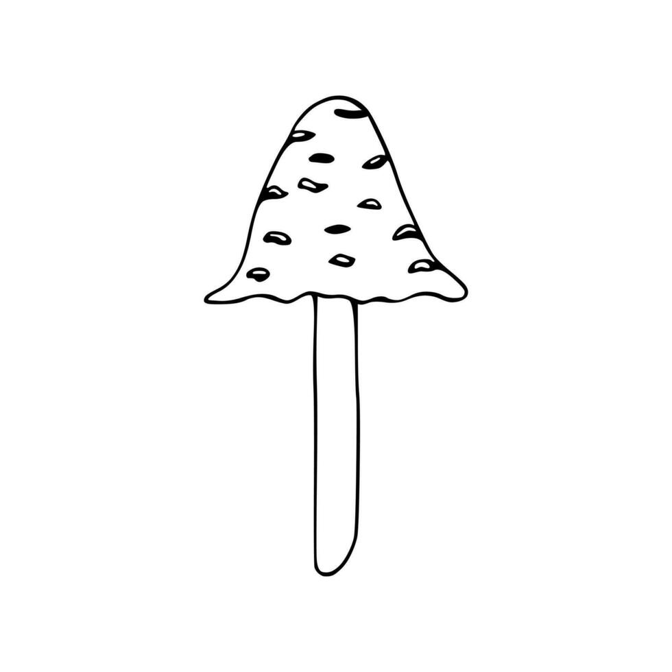 illustration av giftig svamp, paddsvamp, flyga agaric vektor