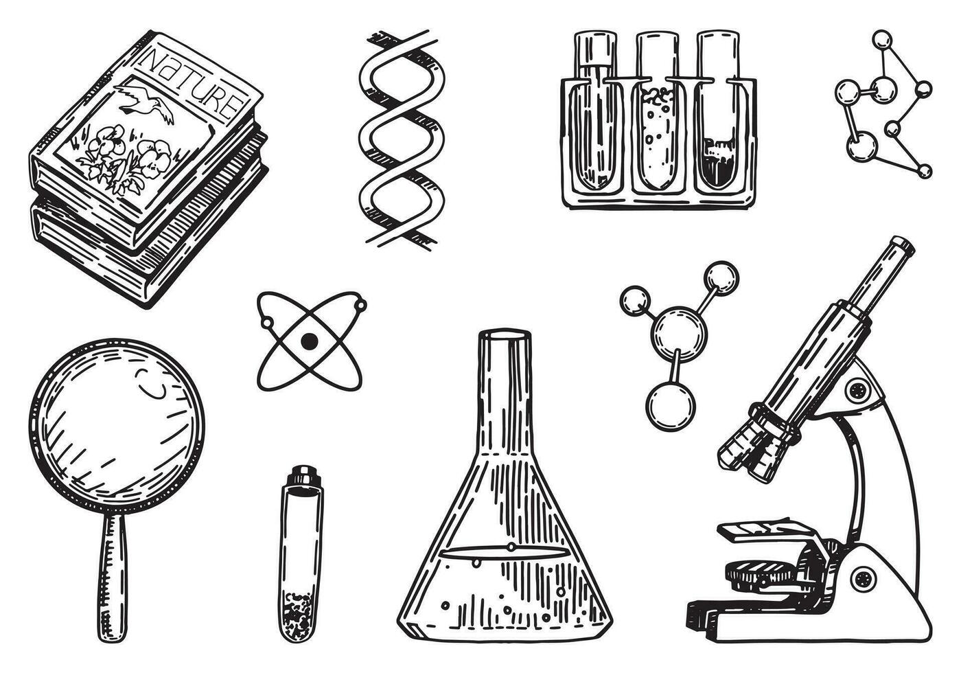 biologi kemi lektion skola attribut samling. uppsättning av mikroskop, laboratorium bägare, lärobok, förstorande glas, formler. hand dragen vektor illustrationer cliparts isolerat på vit.