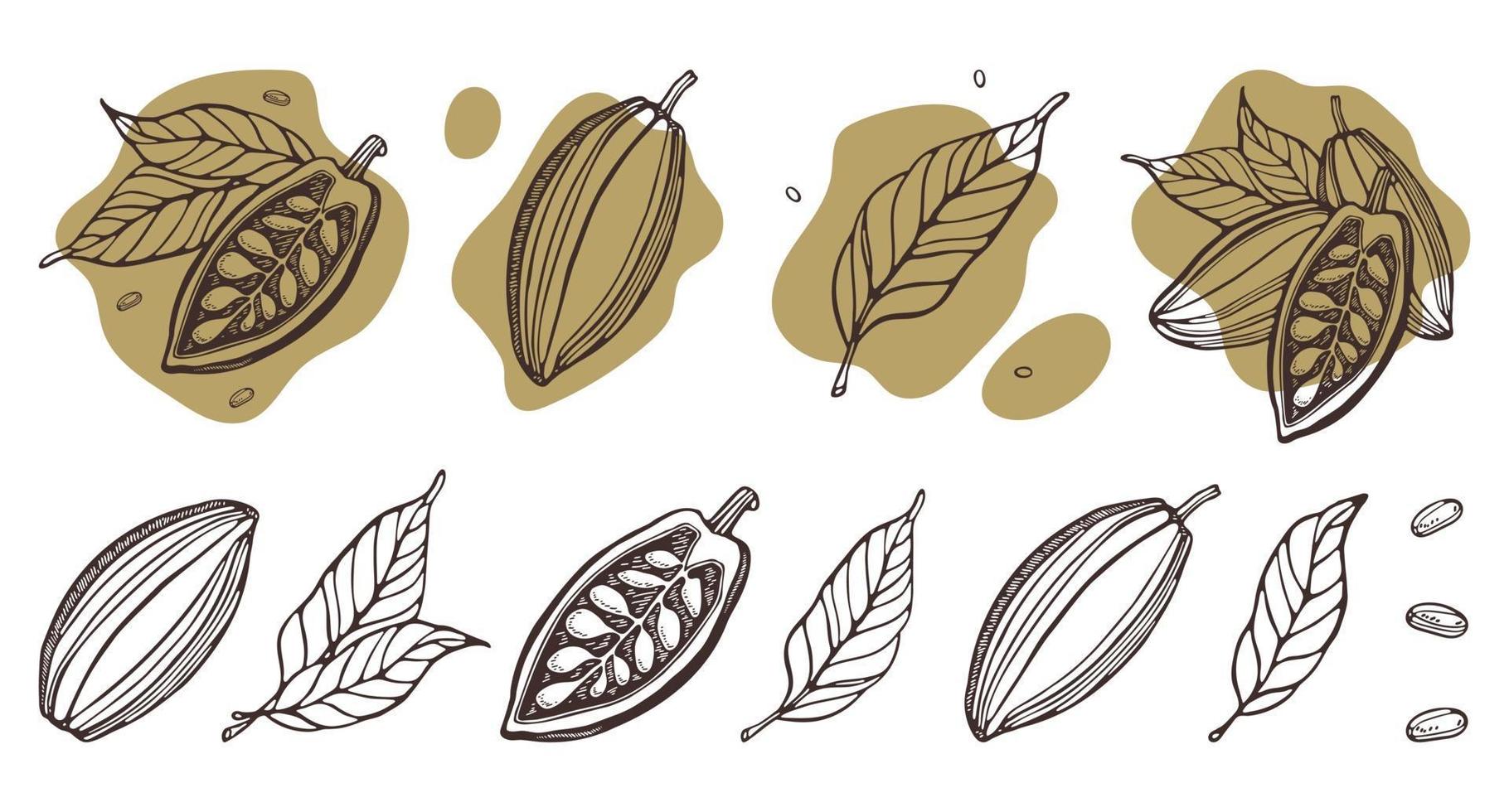 kakaosats. handritade vektor kakaobönor, blad. doodle disposition stil