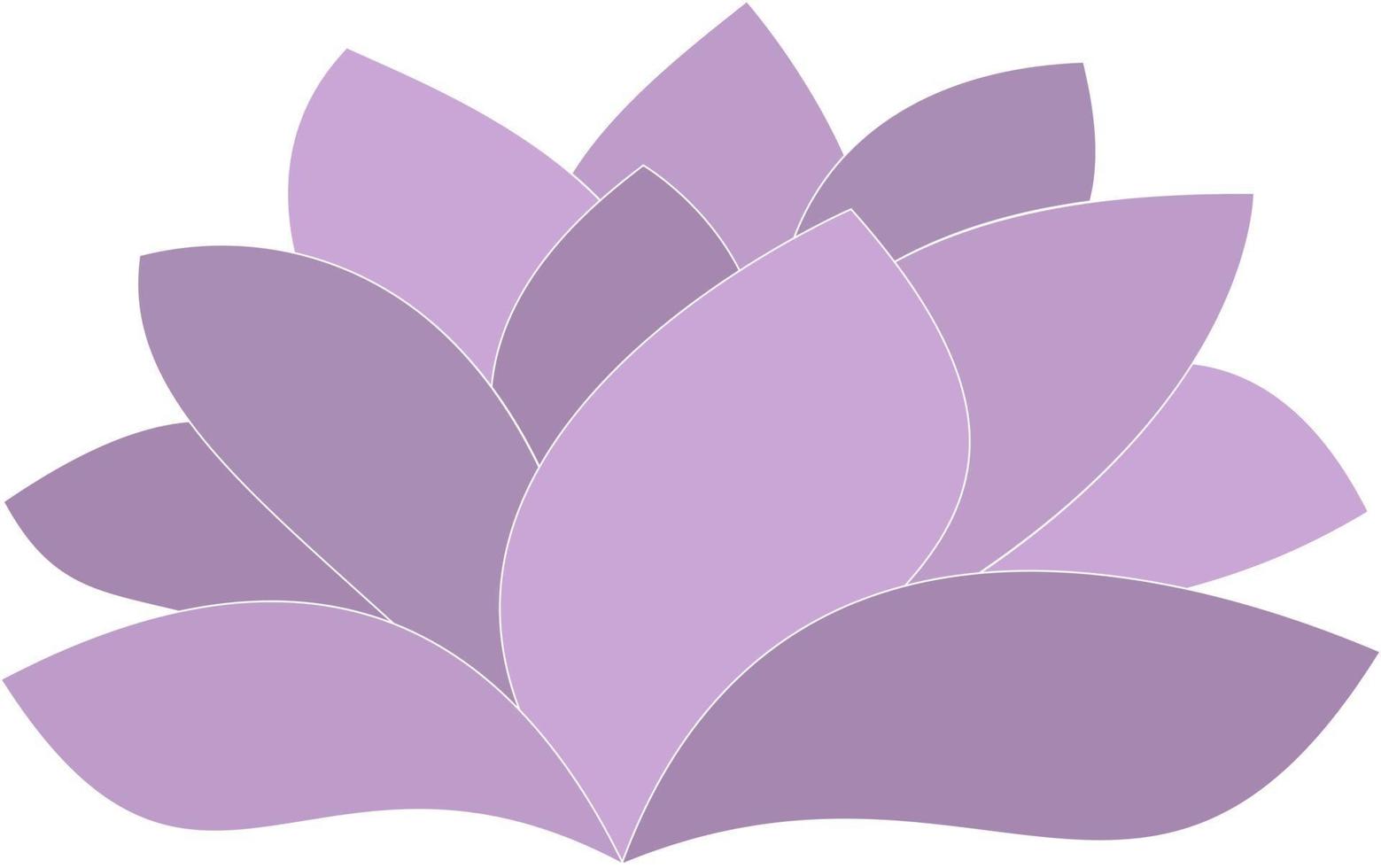 lila lotusblomma vektor